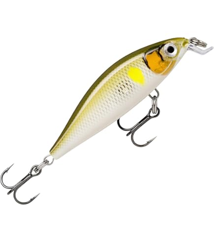 Amazon.co.jp: ラパラ(Rapala) エックスライトミノーX-LIGHTMINNOW